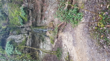 LA SOURCE DE CROSNE-cote-dor-dijon