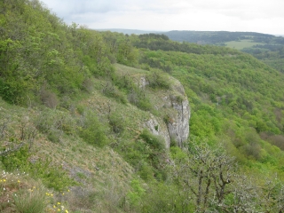 LA VALLéE DU RACCORDON-cote-dor-dijon