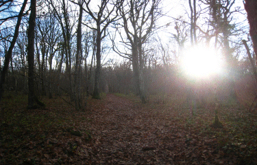 Source de Crosne.-cote-dor-dijon