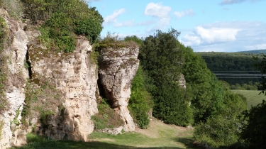 FORET DE BOUHEY-cote-dor-dijon