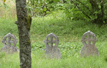 FORET DE BOUHEY-cote-dor-dijon