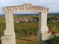 MOREY-SAINT-DENIS-cote-dor-dijon