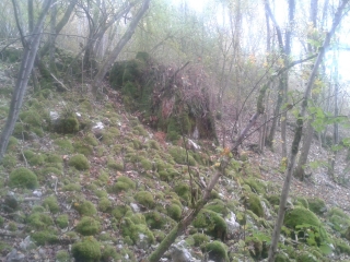 SAVIGNY-LE-SEC-cote-dor-dijon