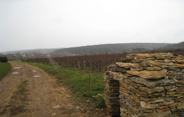 Combes Laveau et Vaulon-cote-dor-dijon