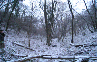 Combes Laveau et Vaulon-cote-dor-dijon