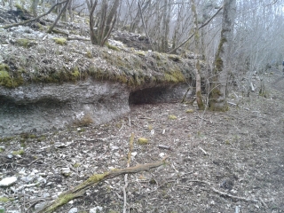 PASQUES-cote-dor-dijon