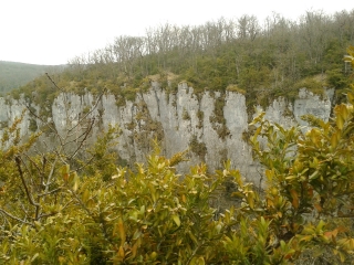 PASQUES-cote-dor-dijon