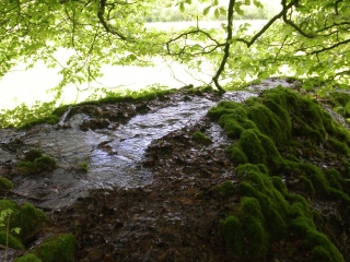 CHARMOY-LES-BLASY - CHATEAU DE MALAIN-cote-dor-dijon