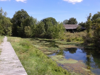 NORGES-LA-VILLE-cote-dor-dijon