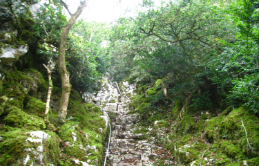 LA COMBE LAVAUX-cote-dor-dijon