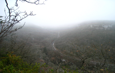 LA COMBE LAVAUX-cote-dor-dijon