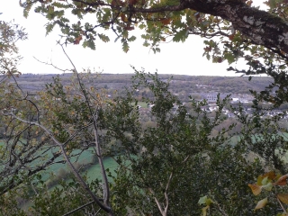 BOIS DU CRUCIFIX-cote-dor-dijon