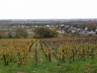 PREMEAUX-PRISSEY - CHAUX-cote-dor-dijon