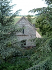 CHENOVE-cote-dor-dijon