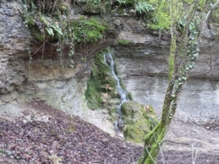 CHENOVE-cote-dor-dijon