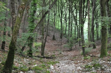 PRENOIS-cote-dor-dijon