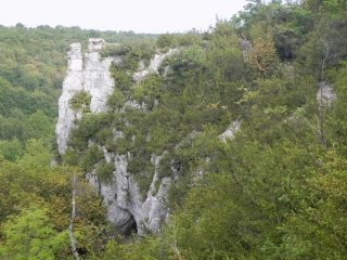 PRENOIS-cote-dor-dijon