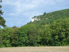 MESSIGNY-ET-VANTOUX - COMBE D ARVAUX-cote-dor-dijon
