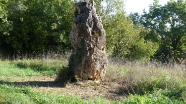 GAMAY-cote-dor-dijon