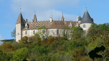 GAMAY-cote-dor-dijon