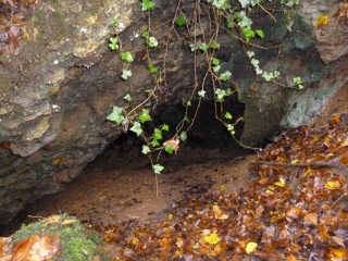 MESSANGES-cote-dor-dijon