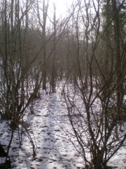 LA RENTE DE FAYS-cote-dor-dijon