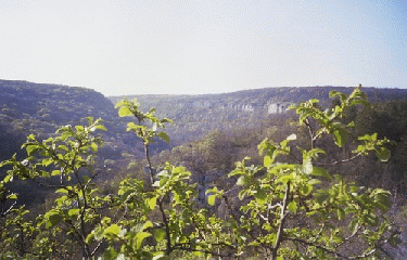 ARCENANT-cote-dor-dijon
