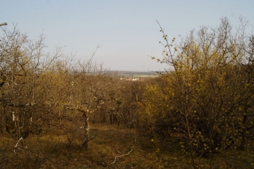 LA MONTAGNE DE SAINTE ANNE-cote-dor-dijon