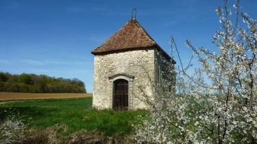 ARCON-cote-dor-dijon