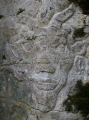 LES GRANDS VAUX-cote-dor-dijon