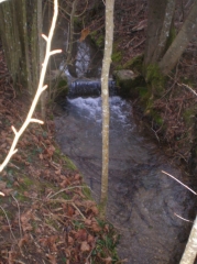 CLENAY-cote-dor-dijon