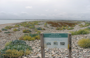 Le sillon de Talbert-cotes-d-armor