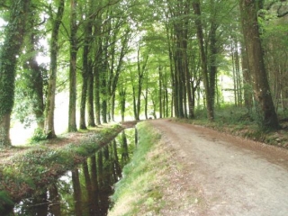 LE QUILLIO - SAINT-THELO-cotes-d-armor