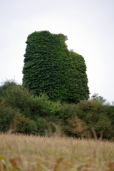 CIRCUIT DU FREMUR-cotes-d-armor