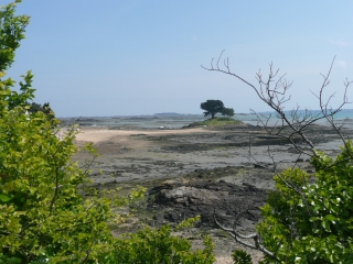 LEZARDRIEUX - PLEUBIAN-cotes-d-armor