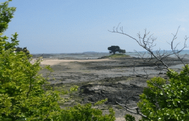 LEZARDRIEUX - PLEUBIAN-cotes-d-armor