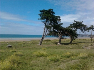 ERGUY - DAHOUET-cotes-d-armor