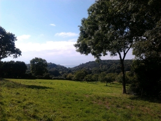 ERGUY - DAHOUET-cotes-d-armor