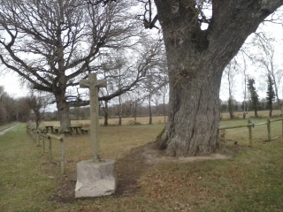 CIRCUIT DE LA HUNAUDAYE-cotes-d-armor