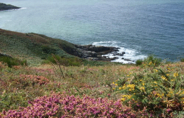 BEG LEGUER-cotes-d-armor