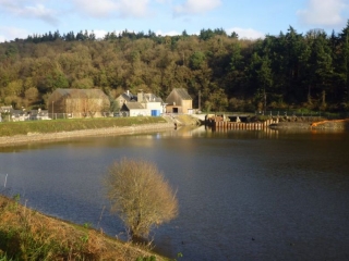 DU LOU A L ETANG DE JUGON-cotes-d-armor