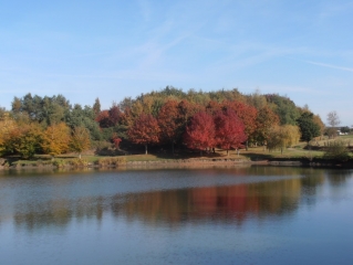 D YFFIGNAC A PEDRAN-cotes-d-armor