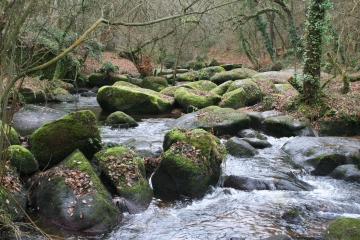 SAINT-JULIEN - BALADE DANS LES CHAOS DU GOUET-cotes-d-armor