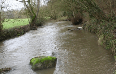 COETMIEUX - ENTRE EVRON ET GOUESSANT-cotes-d-armor