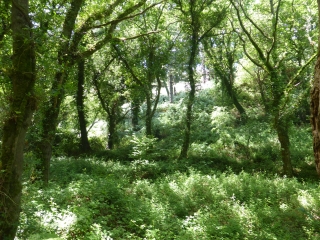 VALLEE DES TRAOUIERO-cotes-d-armor