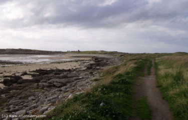 ILE GRANDE-cotes-d-armor