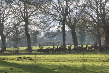 TRAMAIN-cotes-d-armor