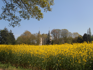 BELLE-ISLE-EN-TERRE - VALLEE DU GUIC-cotes-d-armor
