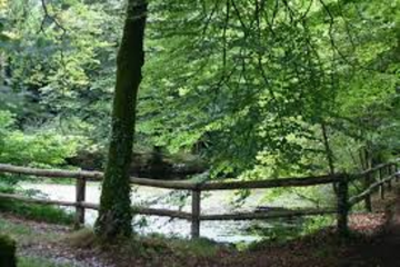 PLOUGONVER ET LA FORET DE COAT AN NOZ-cotes-d-armor