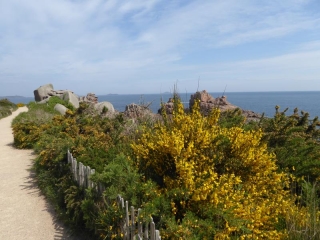 LES ROCHERS ROSES DE PLOUMANACH-cotes-d-armor